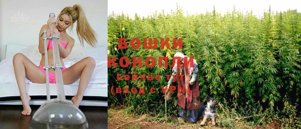 спиды Новодвинск